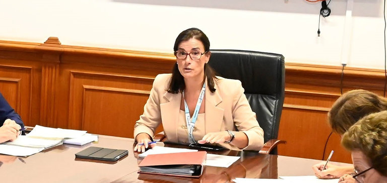 La alcaldesa de Santander, Gema Igual, en la comisión de economía del Ayuntamiento. / Alerta