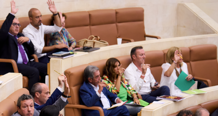 Votación durante una sesión del Pleno en el Parlamento. / Juanma Serrano