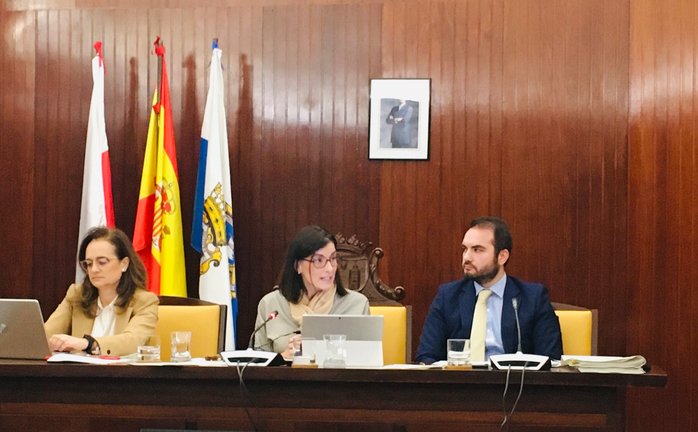 Pleno municipal de Santander. / Twitter