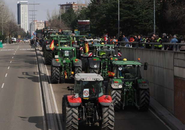 Varios tractores pasan por la carretera de Salamanca en Valladolid. EP / Claudia Alba