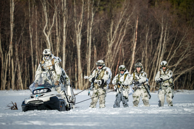 Un grupo de soldados participa en un ejercicio de la OTAN. / Kay Nietfeld