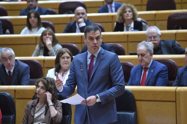 El presidente del Gobierno, Pedro Sánchez, xxxx durante una sesión de control al Gobierno, en el Senado. EP / Gustavo Valiente