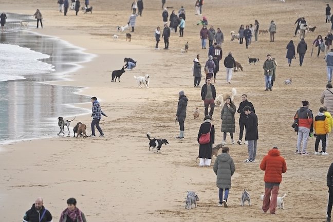 Varias personas pasean a sus perros en la playa de San Lorenzo, este miércoles en Gijón. EFE/Paco Paredes