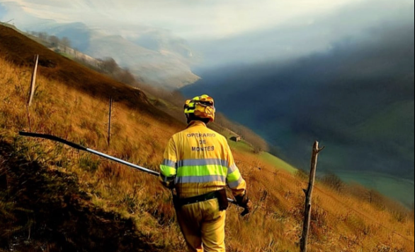 Un bombero en el Monte de Cabuérniga, escenario del trágico fallecimiento por un incendio forestal. / A.E.
