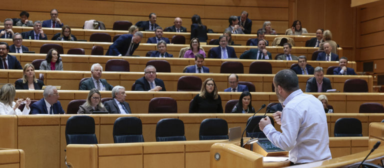 Una imagen del Senado durante una sesión. / EP
