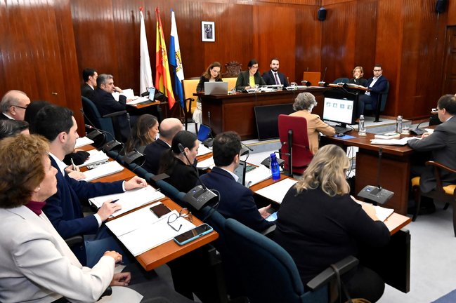 Pleno del Ayuntamiento de Santander en una imagen de archivo. / Alerta