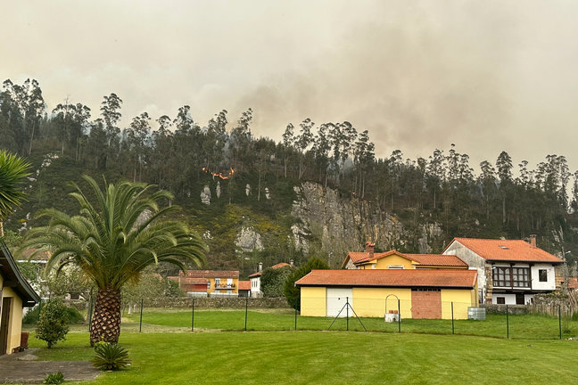 Vista de un incendio forestal en un monte cercano a la localidad de Casar de Periedo, en el municipio cántabro de Cabezon de la Sal, uno de los casi veinte que ha registrado este sábado la región, en un día con altas temperaturas. / Maru García Robles