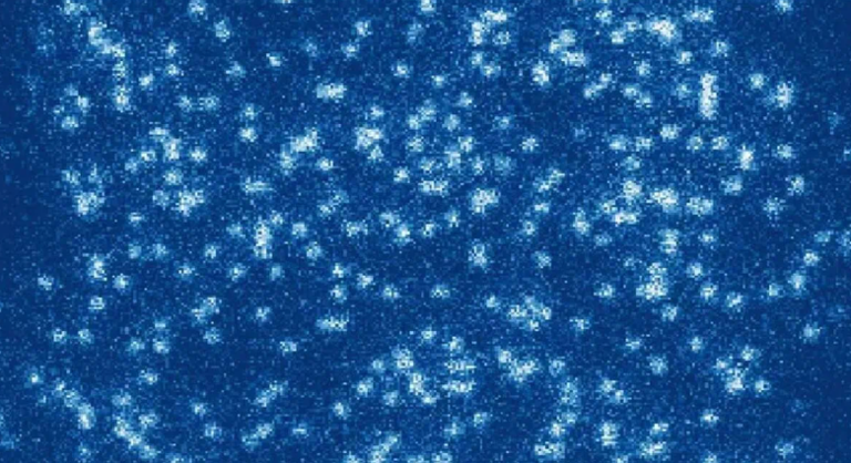 Imagen de los átomos individuales de estroncio en la red óptica. / ICFO