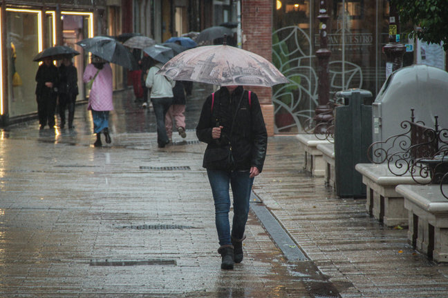 Varias personas se protegen de la lluvia bajo sus paraguas. / María José López