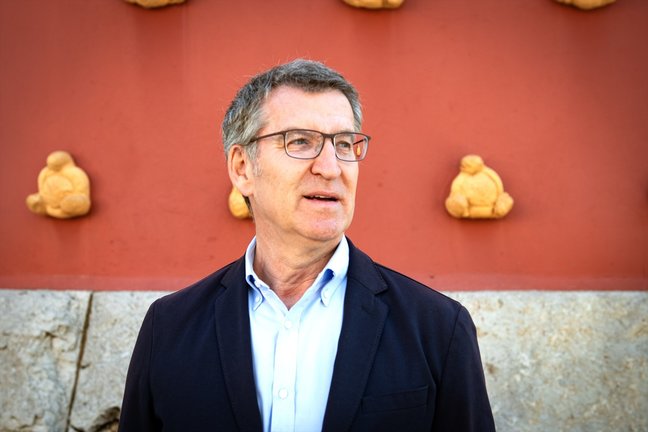 El líder del PP, Alberto Núñez Feijóo, durante un acto de campaña electoral del PP. EP