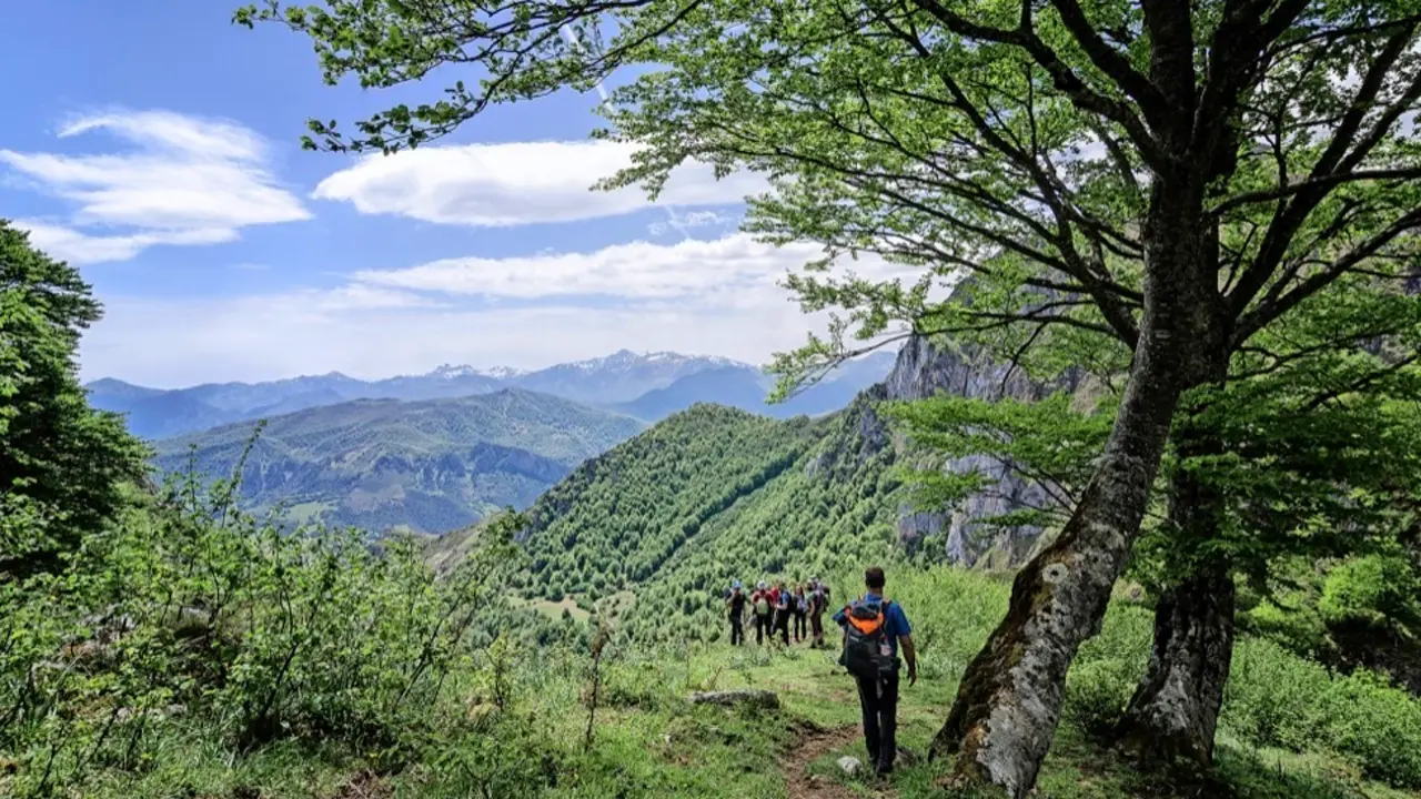 Una marcha de Naturea Cantabria en una edici&oacute;n anterior. / ALERTA