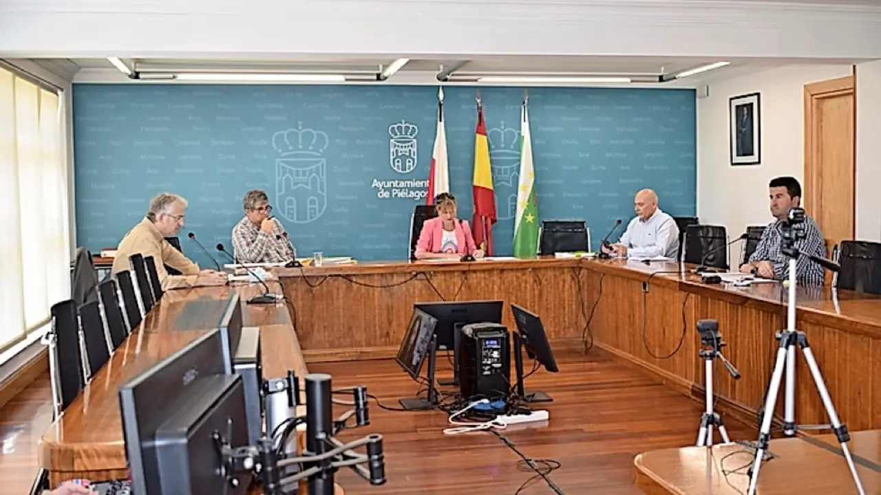 Un instante del pleno telem&aacute;tico de ayer en Pi&eacute;lagos. / ALERTA