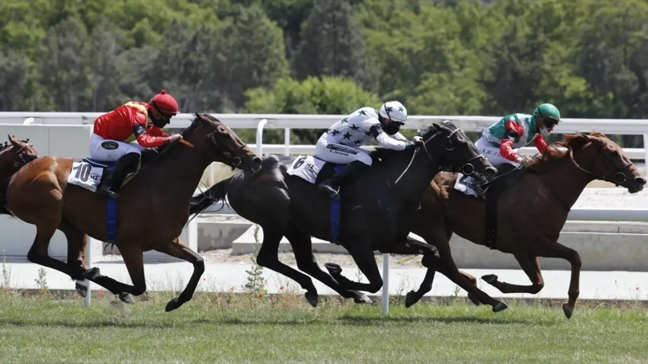 carreras al Hip&oacute;dromo de Madrid