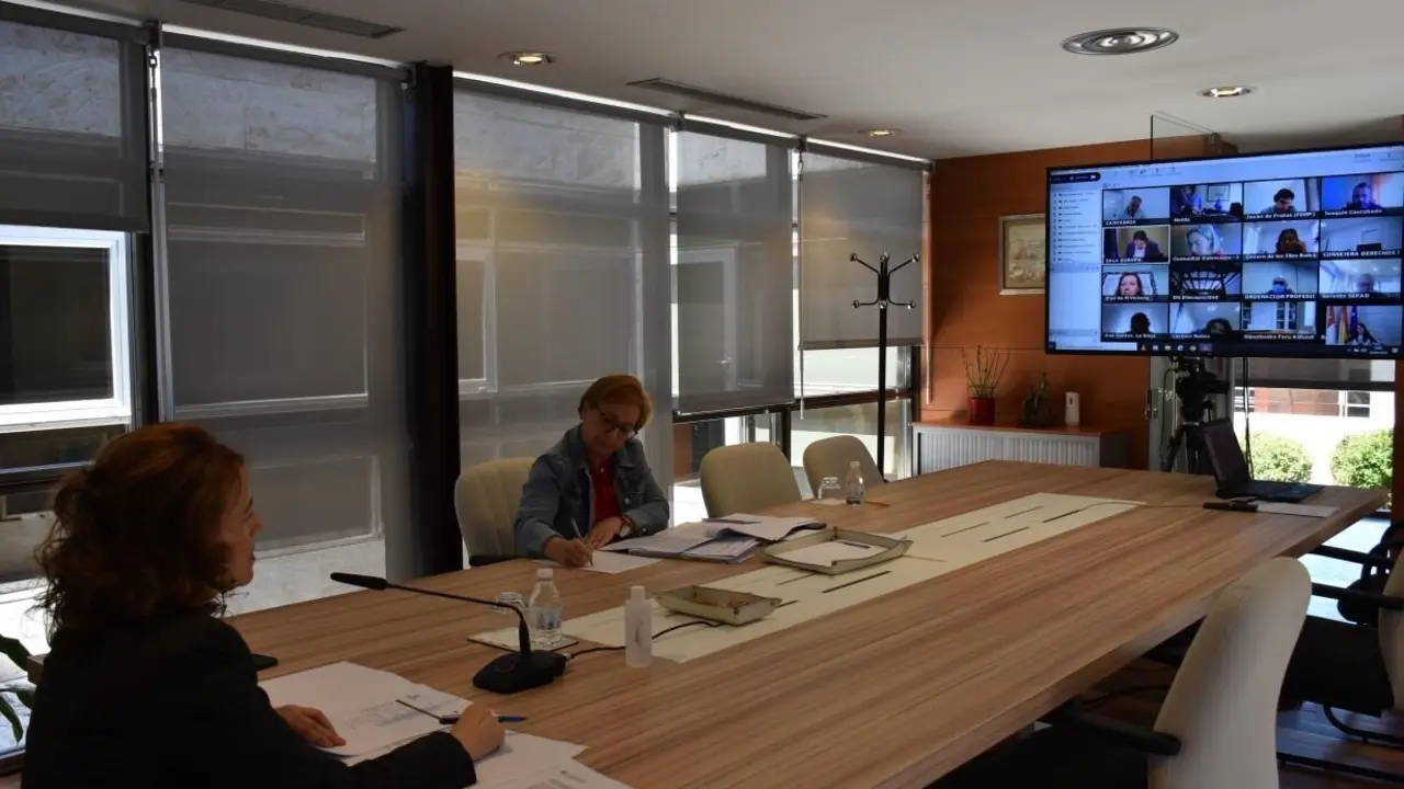 C-LM participa en el pleno del Consejo Territorial de Servicios Sociales.
