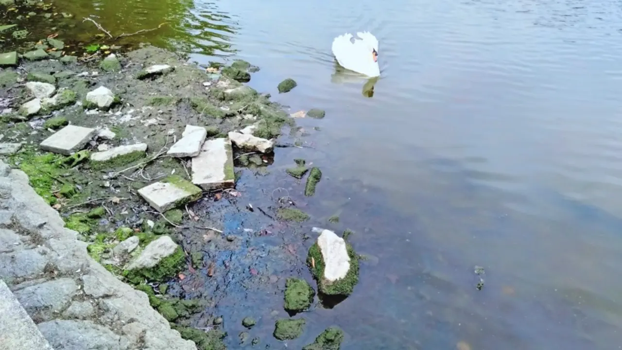 Estado actual del estanque de la Cant&aacute;brica. / alerta
