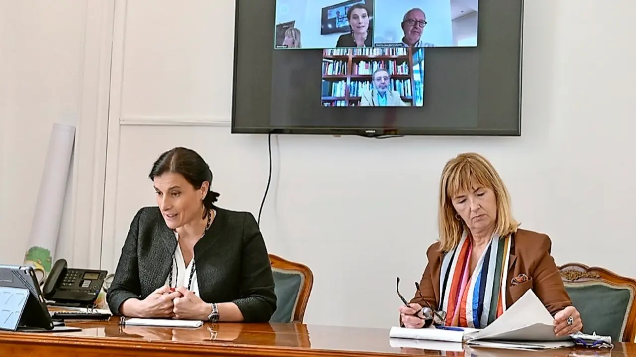 Reuni&oacute;n telem&aacute;tica de Gema Igual y Mar&iacute;a Luisa Sanju&aacute;n, con el director del Reina Sof&iacute;a, Manuel Borja-Villel y Jos&eacute; Mar&iacute;a Lafuente. / alerta