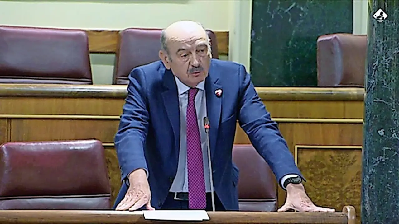 Jos&eacute; Mar&iacute;a Maz&oacute;n durante su intervenci&oacute;n en el Parlamento. / alerta