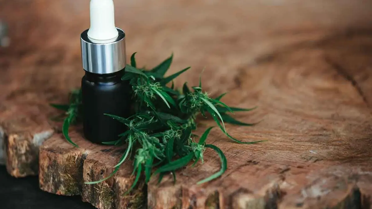 Semillas de cannabis: el ingrediente para una comida saludable
