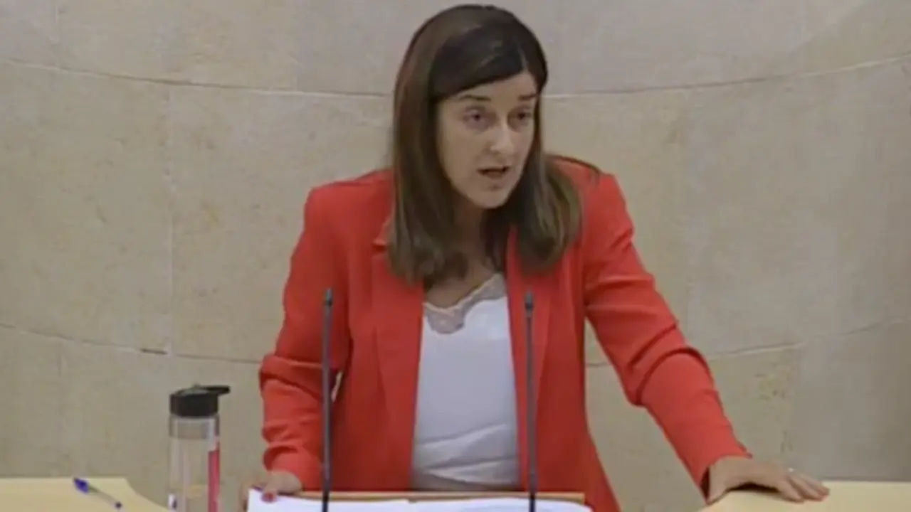 La l&iacute;der del PP, Mar&iacute;a Jos&eacute; S&aacute;enz de Buruaga durante su comparecencia hoy en el Parlamento de Cantabria. / ALERTA