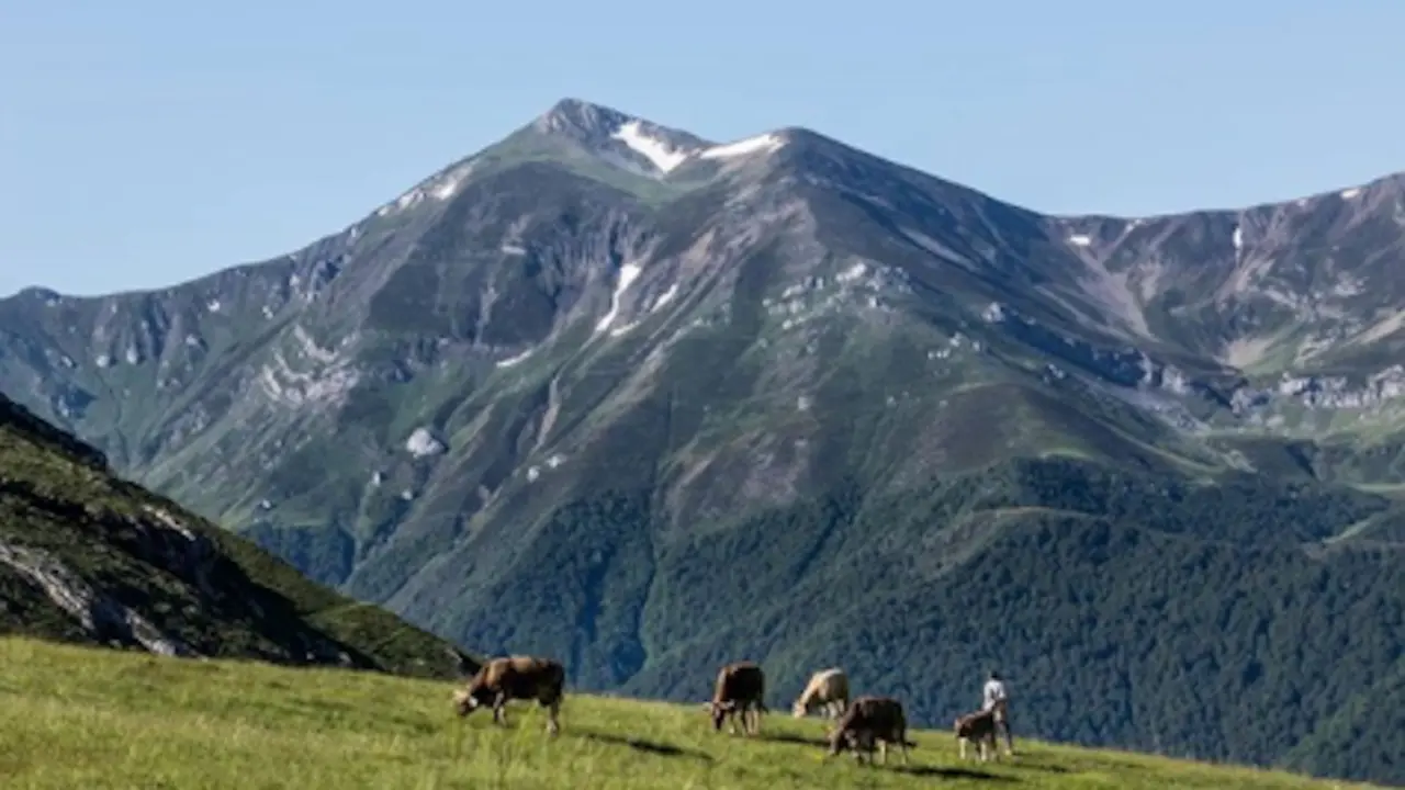 Monta&ntilde;as c&aacute;ntabras