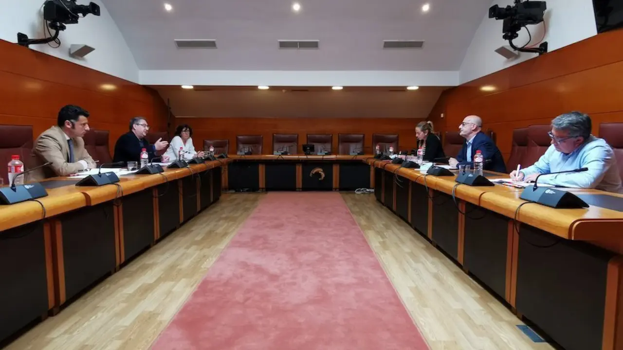 &Aacute;lvarez en la reuni&oacute;n con representantes del CERMI, y la diputada Marta Garc&iacute;a. / ALERTA