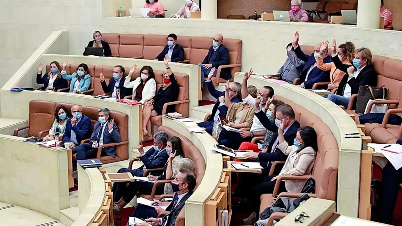 Los diputados del Parlamento durante una votaci&oacute;n. / jos&eacute; ram&oacute;n