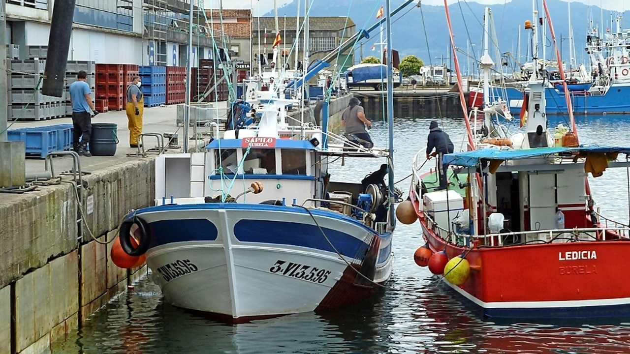 Otras dos embarcaciones gallegas con siete tripulantes que han desembarcado en el puerto de Santo&ntilde;a est&aacute;n en seguimiento por parte de las autoridades sanitarias de Cantabria despu&eacute;s de que un marinero de Burela (Lugo) haya dado positivo por coronavirus. tripulantes han explicado a Efe que las autoridades sanitarias les han trasladado que no pueden abandonar esos barcos, aunque s&iacute; han obtenido permiso para desembarcar bonito. Tambi&eacute;n les han dicho que hacia las 13.00 horas les har&aacute;n las pruebas para detectar si se han contagiado. EFE/ Miguel Ramos