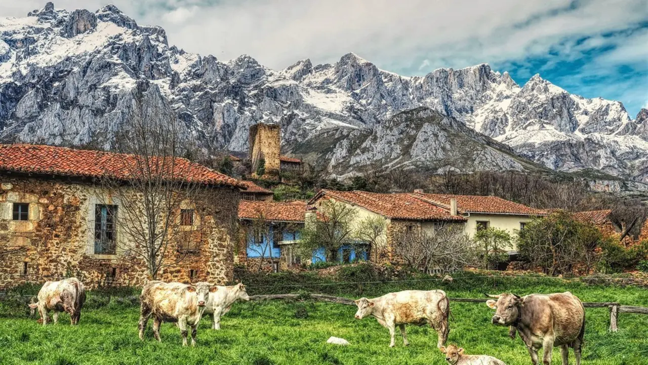 El enclave de Mogrovejo, en Camale&ntilde;o.