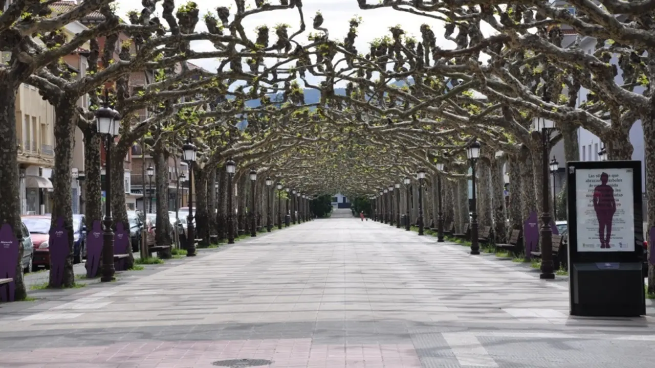 Avenida de Espa&ntilde;a en Torrelavega.