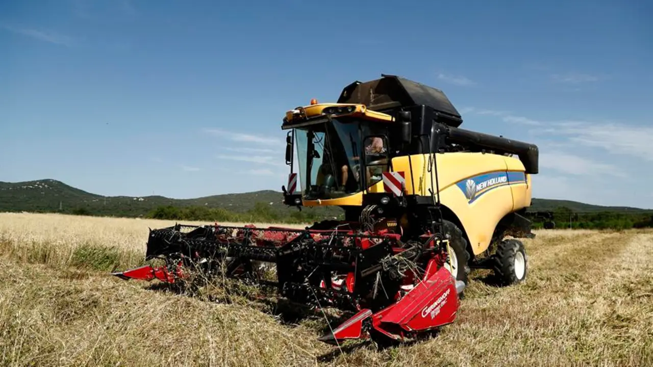 Una-sequía-histórica-en-Francia-hunde-la-producción-de-cereales-y-los-pastos.EFE/EPA/GUILLAUME HORCAJUELO/Archivo