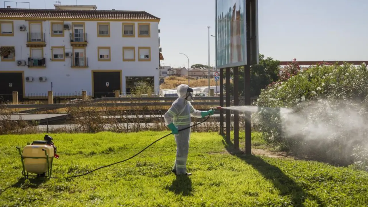 Un operario fumiga unos jardines en Cor&iacute;a del R&iacute;o en un intento del Ayuntamiento por detener al virus del Nilo. EFE/Jos&eacute; Manuel Vidal/Archivo