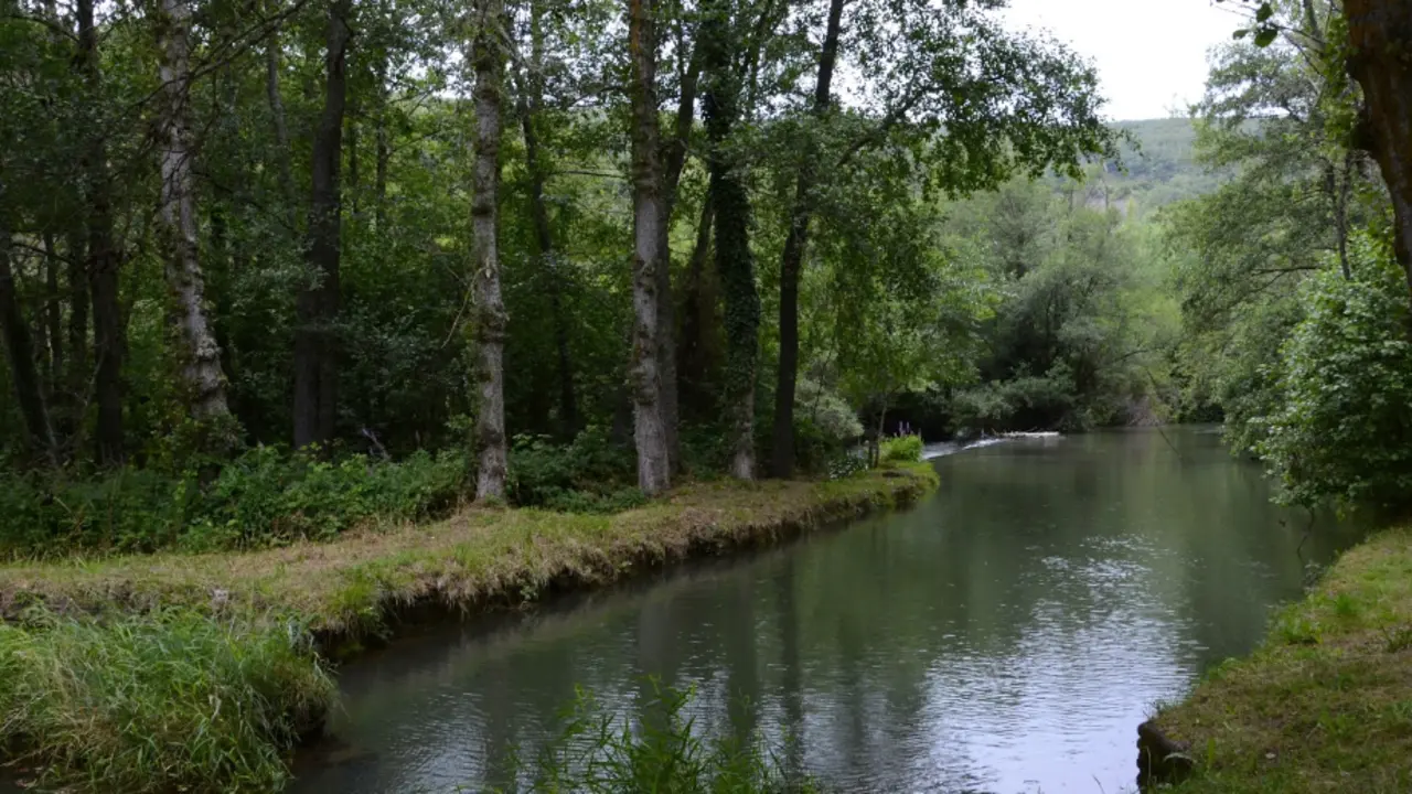 El r&iacute;o Ebro a su paso por la localidad de Aldea de Ebro.