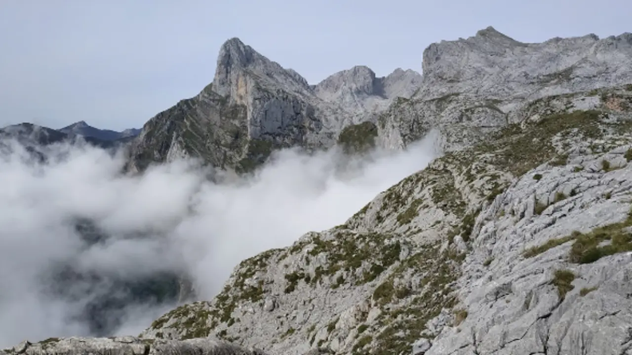 Fue rescatado este martes por el helic&oacute;ptero del Gobierno de Cantabria en la zona del collado Santa Ana.