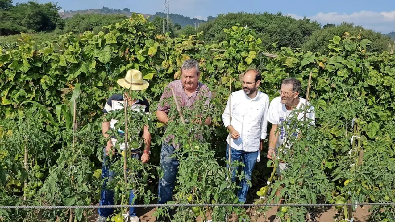 El concejal Urraca visitando los huertos. / alerta
