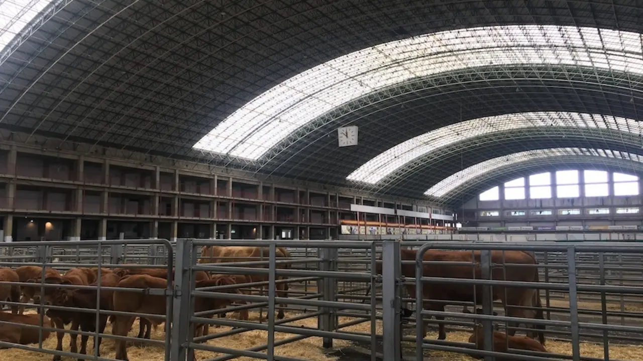 Vista del Ferial de Ganados de Torrelavega en el d&iacute;a de hoy. / S.D.