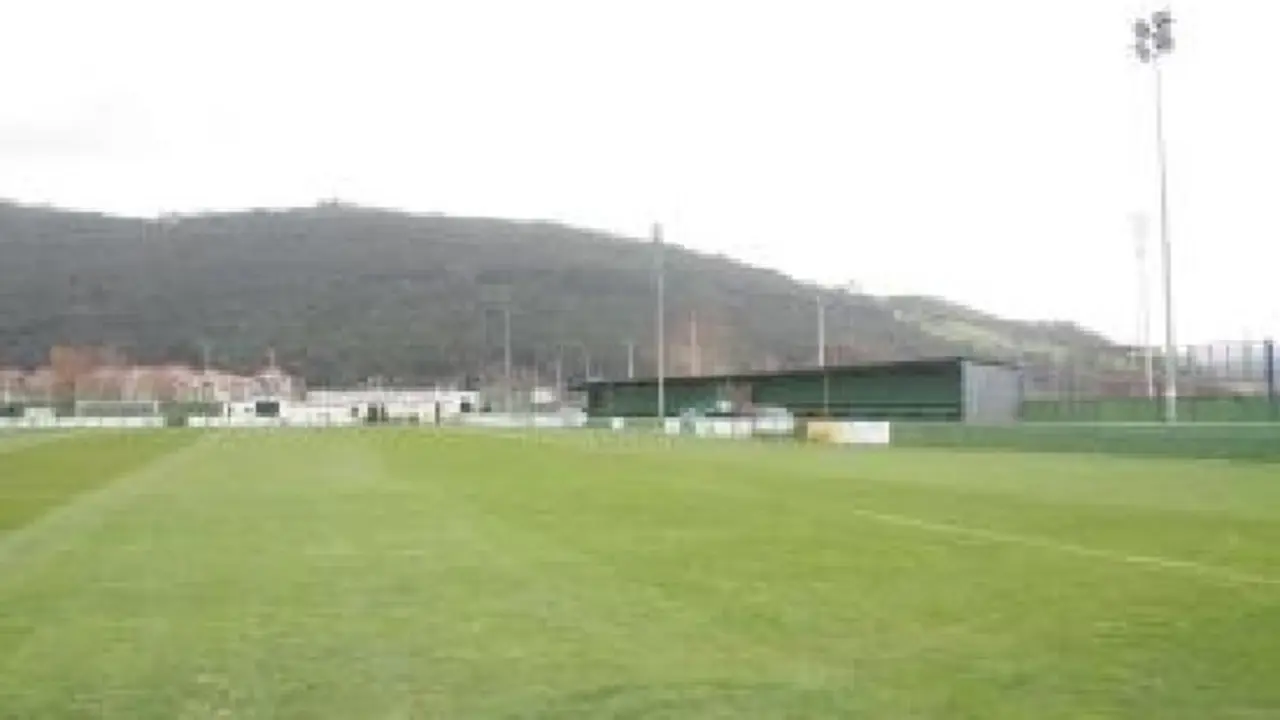 caseta