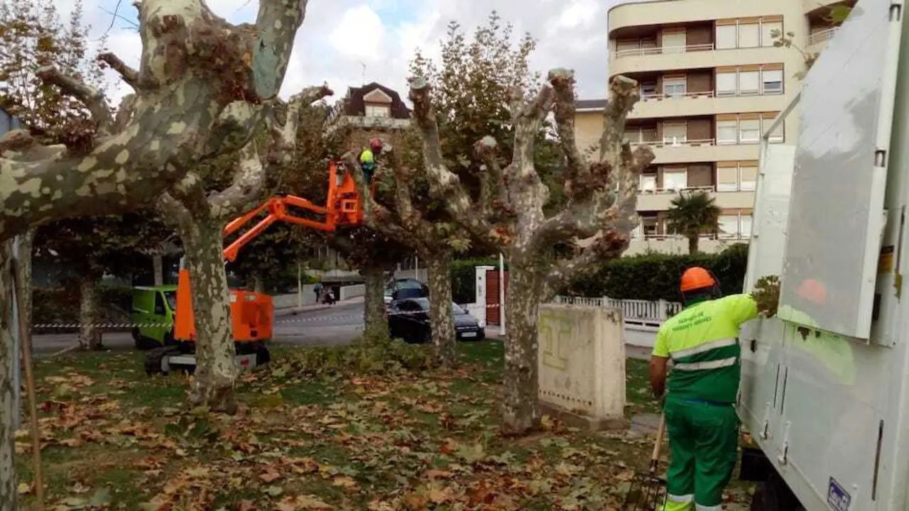Trabajos que han arrancado hoy en el Parque de La Chabola.
