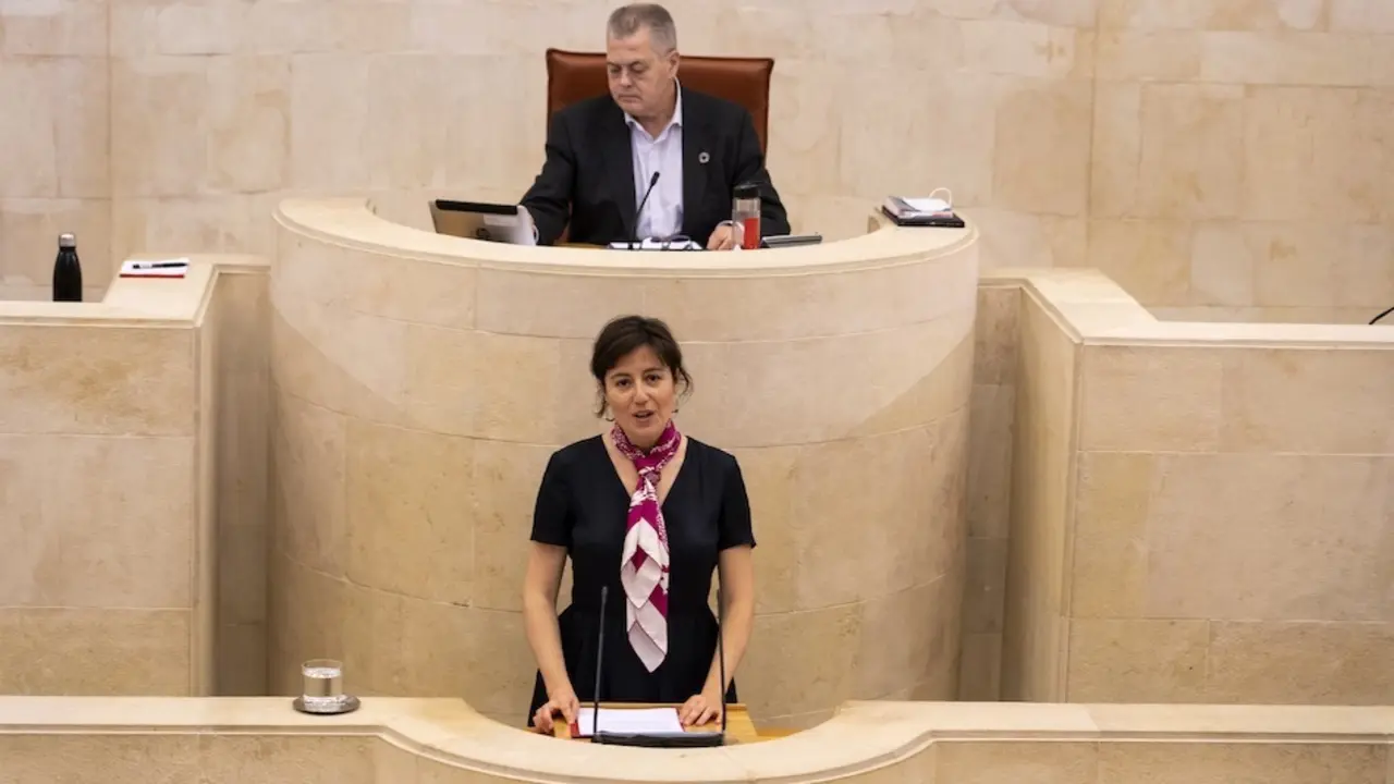 La Directora general de Salud P&uacute;blica, Paloma Navas en el Parlamento de Cantabria.