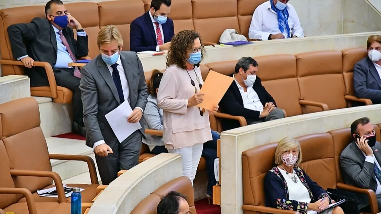 Diputados en el Parlamento de Cantabria. / HARDY