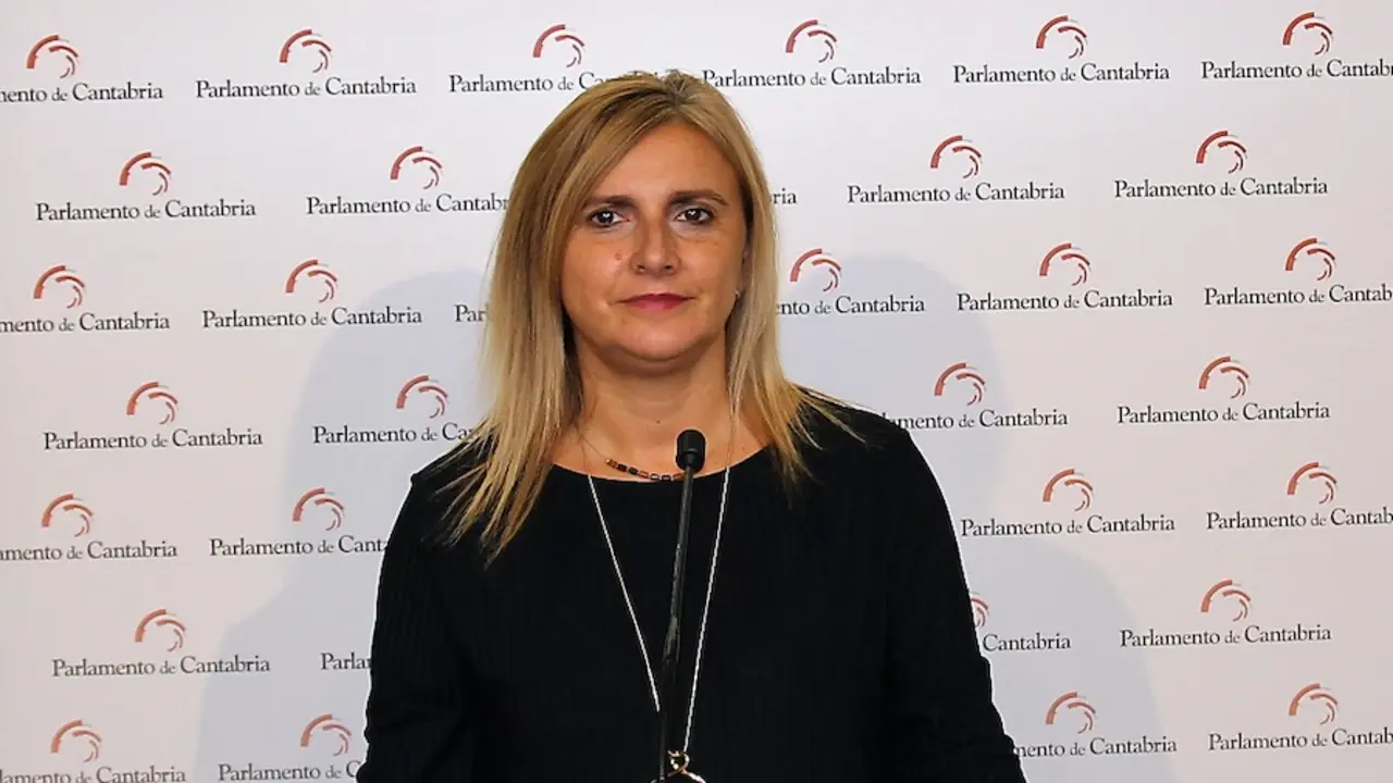 La n&uacute;mero 2 del PSOE de Cantabria y portavoz en el Parlamento, Noelia Cobo. / ALERTA