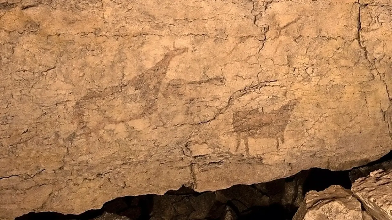 Cierva de la cueva de El Pendo / ALERTA &ndash; Archivo
