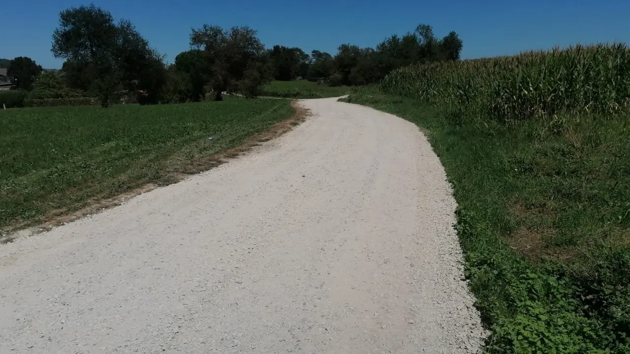 Caminos rurales de la Mies.