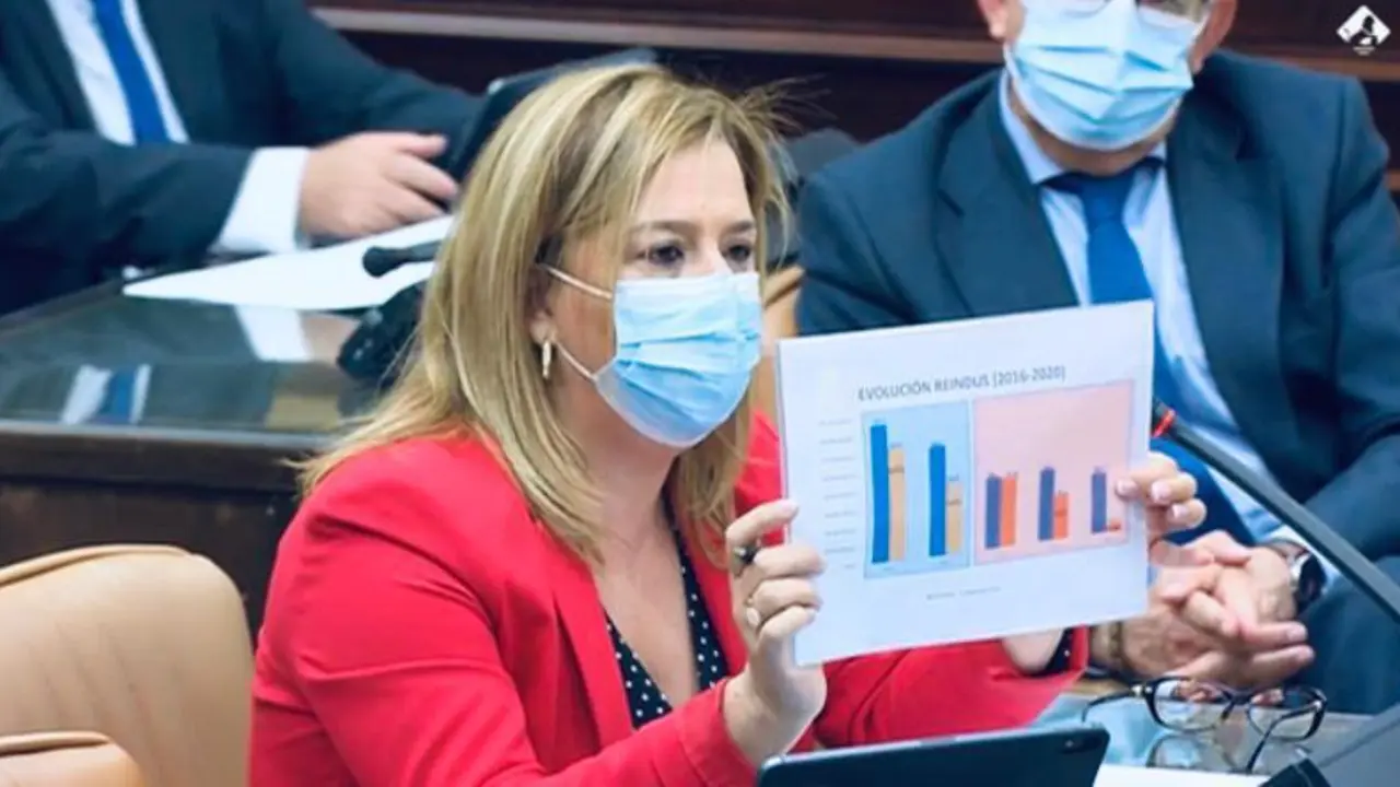 La diputada del PP por Cantabria, Elena Castillo. / ALERTA