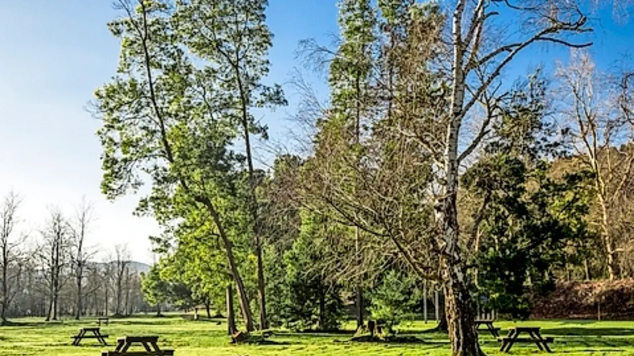 Parque Natural de La Viesca, en Torrelavega. / ALERTA