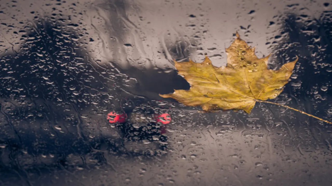 hoja-amarilla-caida-gotas-lluvia_110241-202