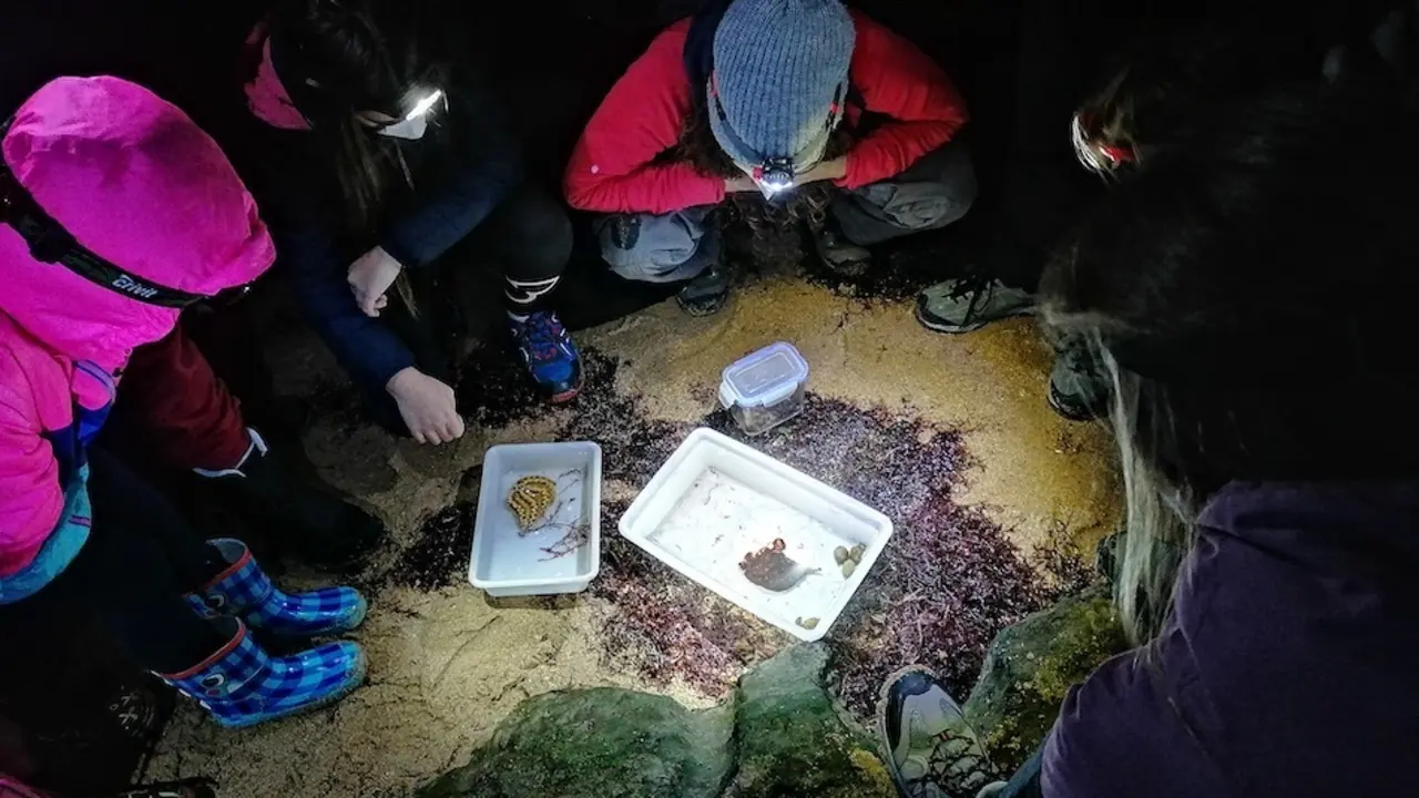 Los participantes podr&aacute;n explorar el ecosistema que habita en la frontera del medio marino y terrestre. / ALERTA