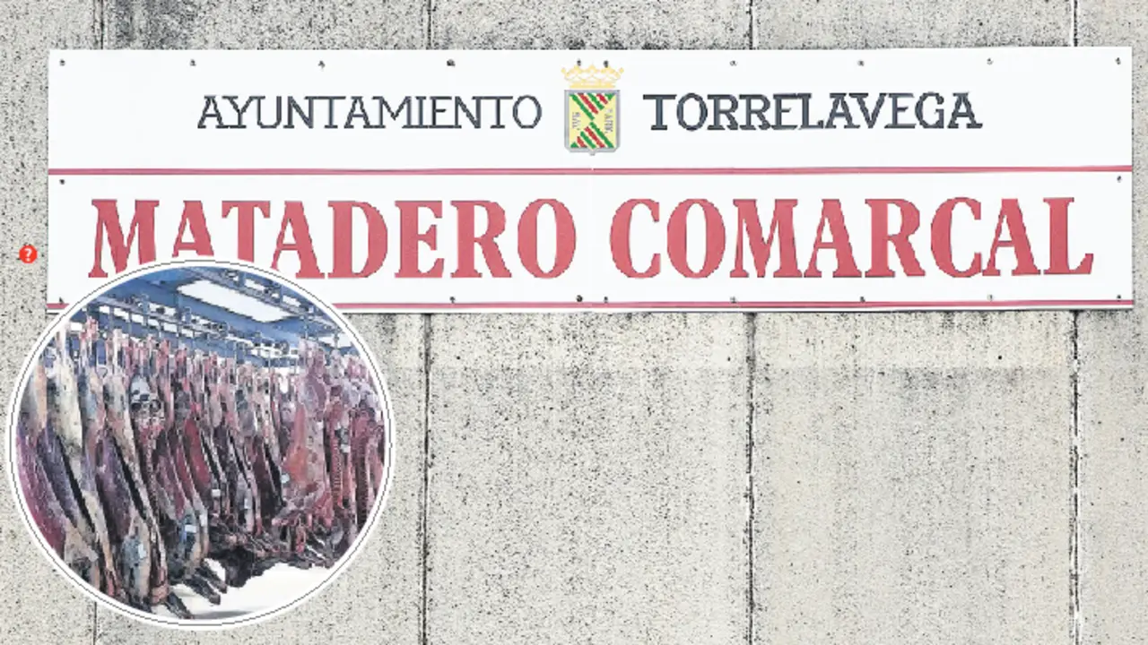 El matadero municipal cuenta con una plantilla de 14 trabajadores. / ALERTA