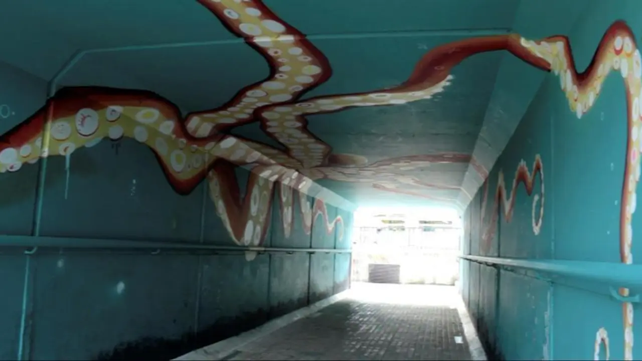 Concienciar y educar sobre la protecci&oacute;n del ecosistema marino puede tambi&eacute;n hacerse con el arte, llenando las calles de murales con los diversos seres que habitan los mares y que ayudar&aacute;n a conocer la importancia que tiene para el futuro cuidarlos y respetarlos. En la imagen, obra de la artista Mar&iacute;na Casaos en Santa Cruz de Bezana. EFE/Celia Ag&uuml;ero