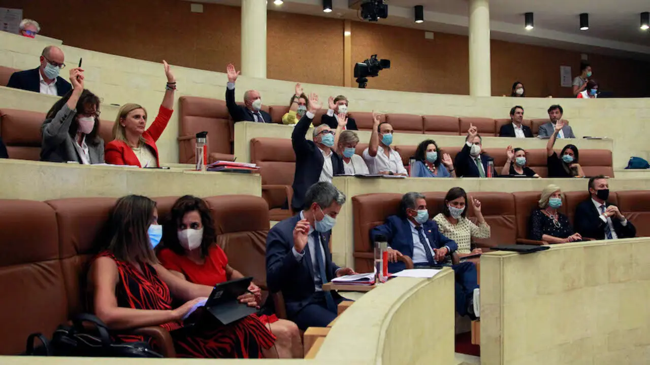 Sesi&oacute;n del Parlamento de Cantabria. / ALERTA