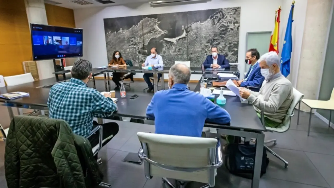Reuni&oacute;n telem&aacute;tica de la Comisi&oacute;n Sectorial sobre Infraestructuras, Transportes y Comunicaciones. / ALERTA